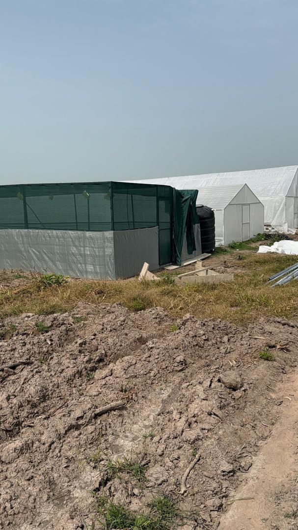 Greenhouse (Snail)