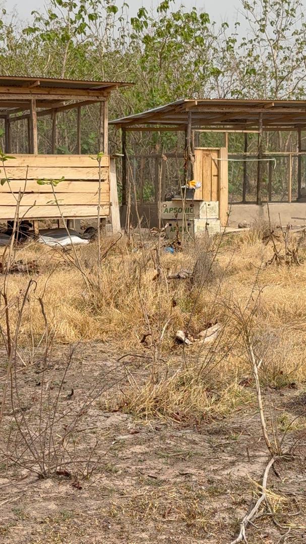 Goat and Sheep Pen